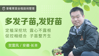 多发子苗，发好苗